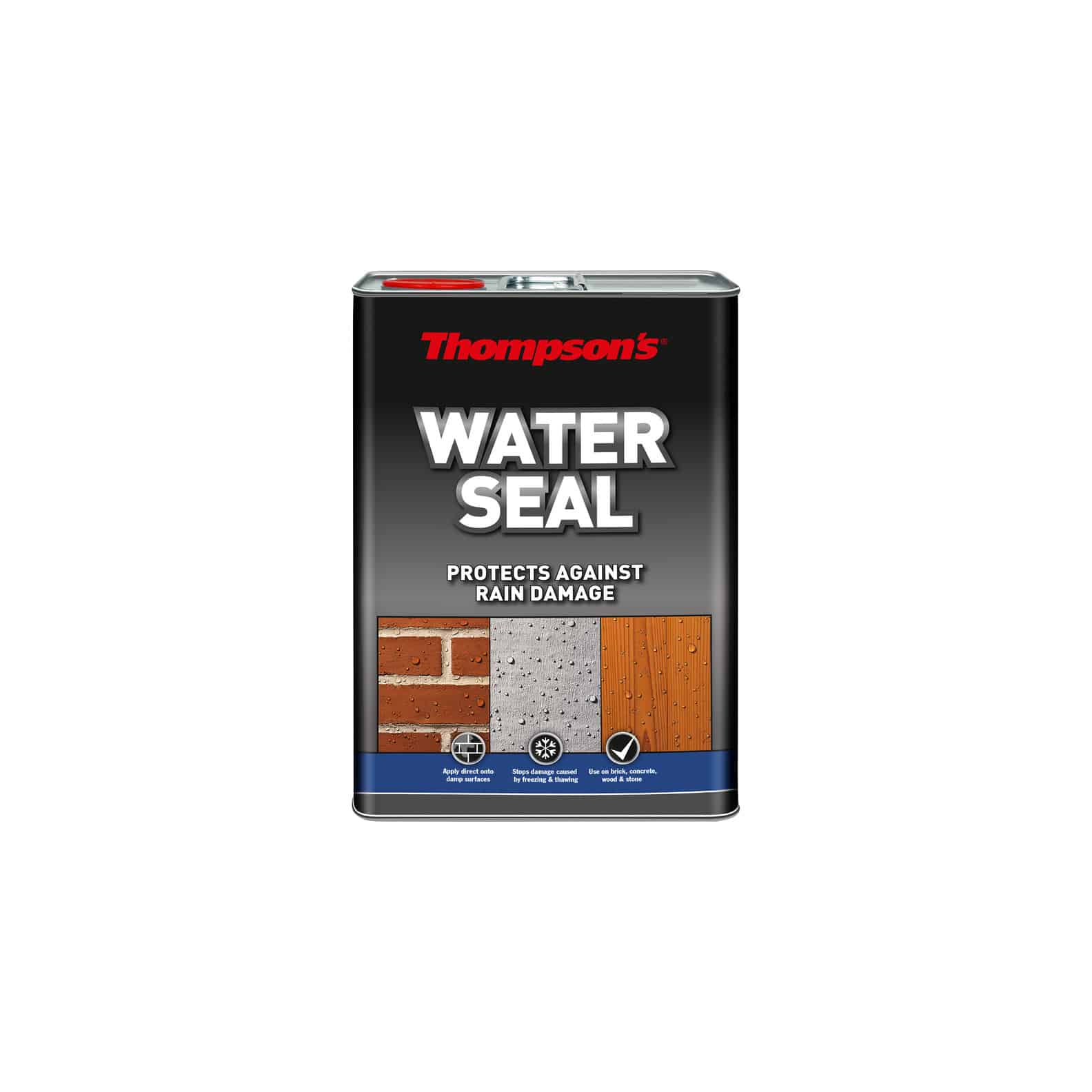 Thompson's Water Seal Clear
