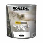 Anti Mould Paint