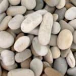 Duck Eggs 100 200HC 02 600x