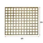 Trellis Fence 5x6 1